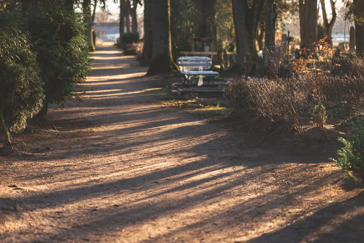 Herbstlicher Weg auf einem Friedhof mit alten Bäumen
